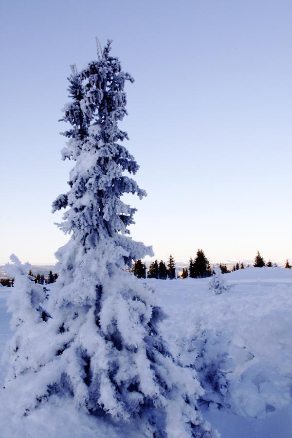 Ilsetra Hotell Hafjell Esterno foto